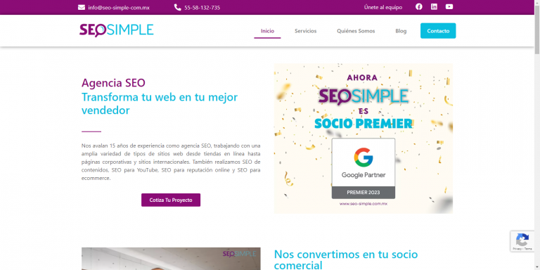 best seo companies in mexico